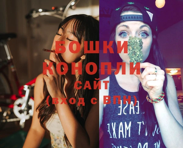 дживик Пестово