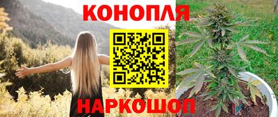 спайс Гагарин