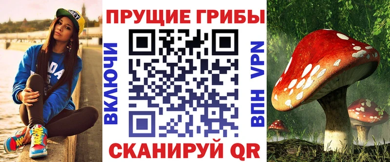 где купить Сердобск Галлюциногенные грибы Psilocybe