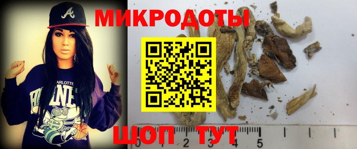 Псилоцибиновые грибы мухоморы  Вход с VPN  цены наркотик  Сердобск 